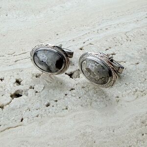 Elegant Silver and Gray Stone Earrings